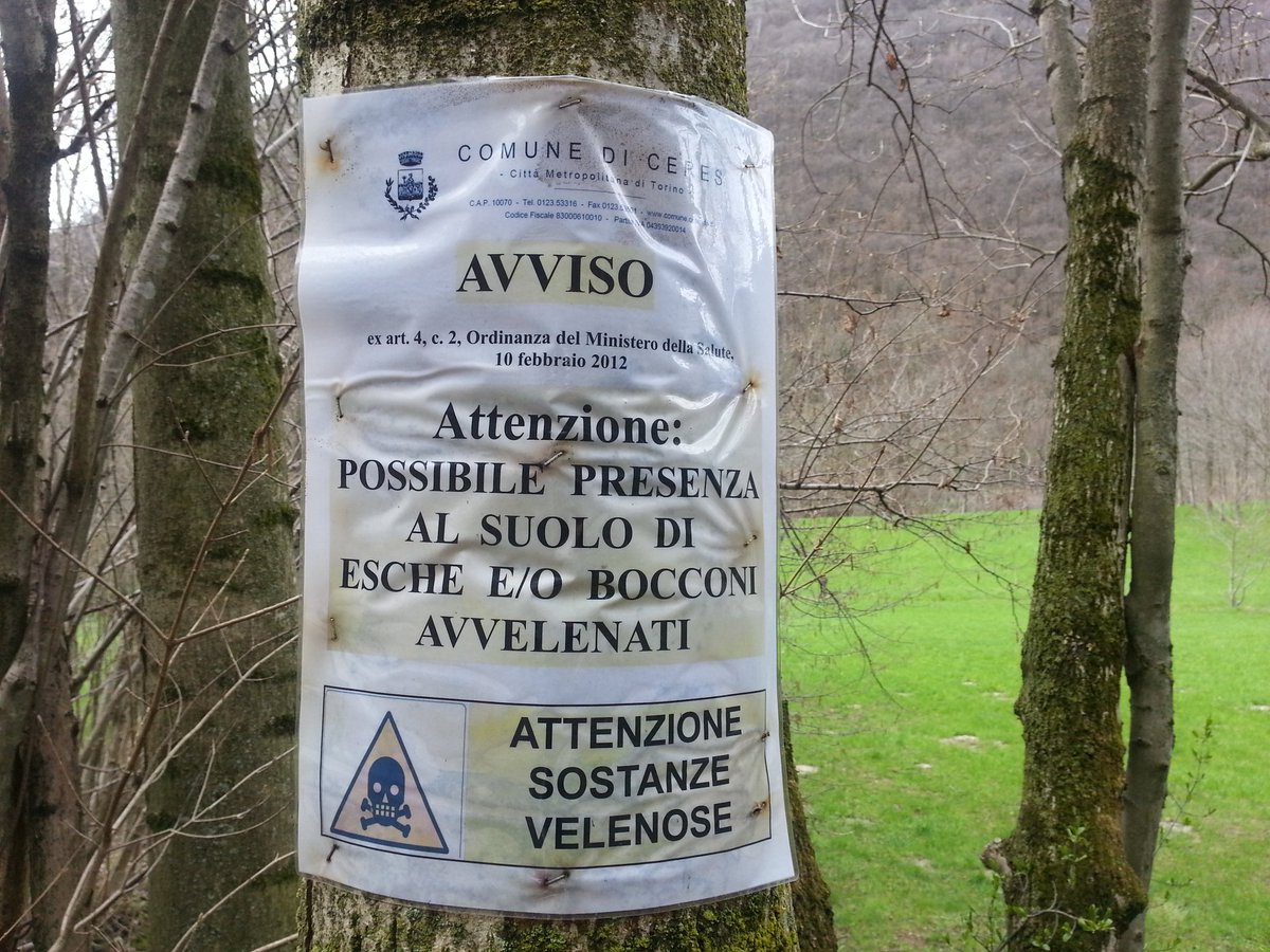 Beppeley's tweet photo. I cervi non sanno leggere
https://t.co/9albFgr7SS @ParcoBeigua @piemonteparchi @emanuela_cel @ecoLogi_blog @erealacci @paoloballesio @BarellaBarbara @MorenaBertolini @BarbaraRita2 @pcbassignana @BauduccoSara @BarbaraRita2 @libarmenk @Italians_NI @LucaNatale70 @escursionifvg https://t.co/kt3lDgHufI