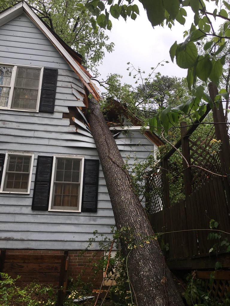 IrmoFire's tweet photo. #IrmoFire Lots of trees down in the Irmo area. https://t.co/pwYqNCyTzv