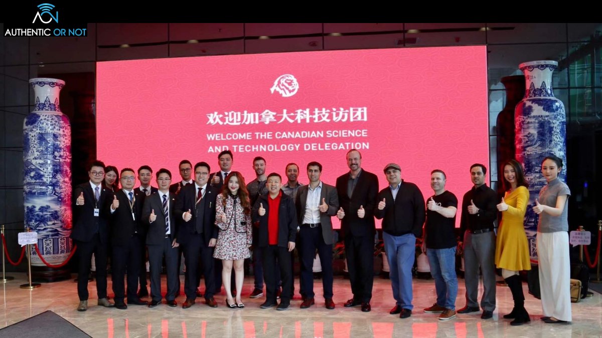 Authentic Or Not tweet media