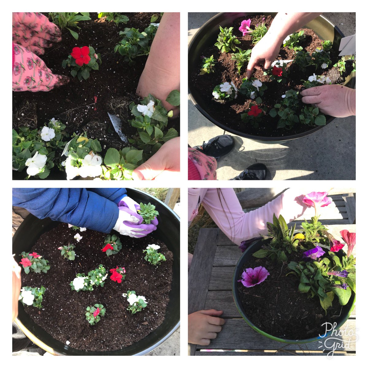 cabsher0's tweet photo. Kids+flowers+grandparents = a few of our favorite things! @SEstarsR2  #hadablast #sandlapperstars https://t.co/qLjqLEPauF