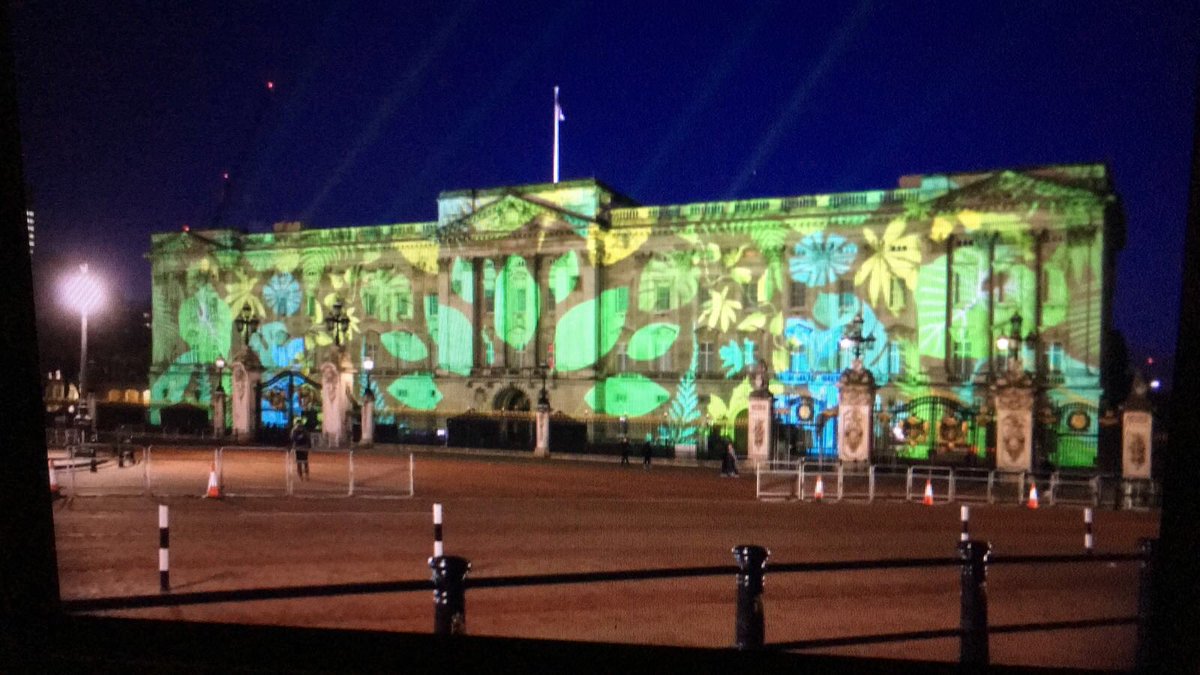 Tim Hitchens tweet media