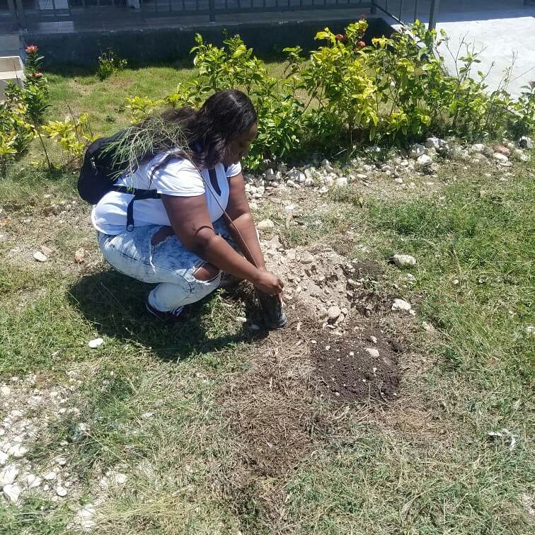 GoodDeedsDayHT's tweet photo. Activity highlights: Green space creation (140 trees) at the orphanage EHMF (Enfants Haïtiens Mon Frère). @GoodDeedsDayHT
@GoodDeedsDay #GoodDeedsDayHaiti #GoodDeedsDay https://t.co/vFilbDSkO4