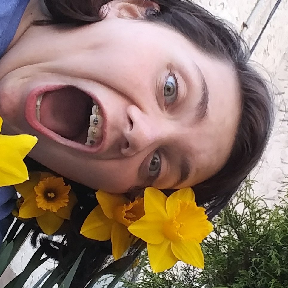 DSchlear's tweet image. Lol