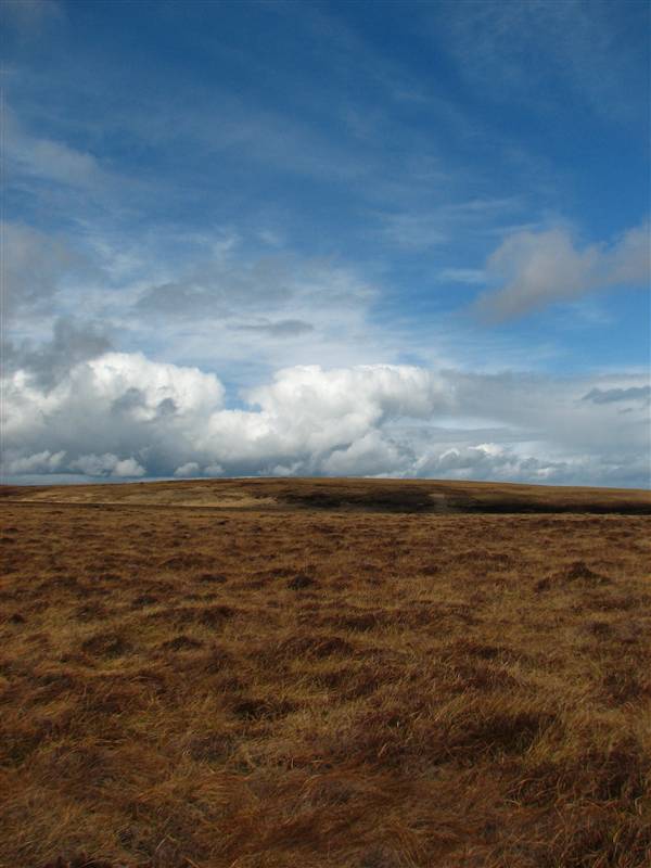 theCANNproject's tweet photo. #SliabhBeagh #LoughArrow #Boleybrack - just some of the magnificent sites we will be working on during the #CANN project #monaghan #leitrim #sligo #fermanagh #tyrone #bordercounties #biodiversity #environment #wildlife #CANN https://t.co/crbKgFX3t1
