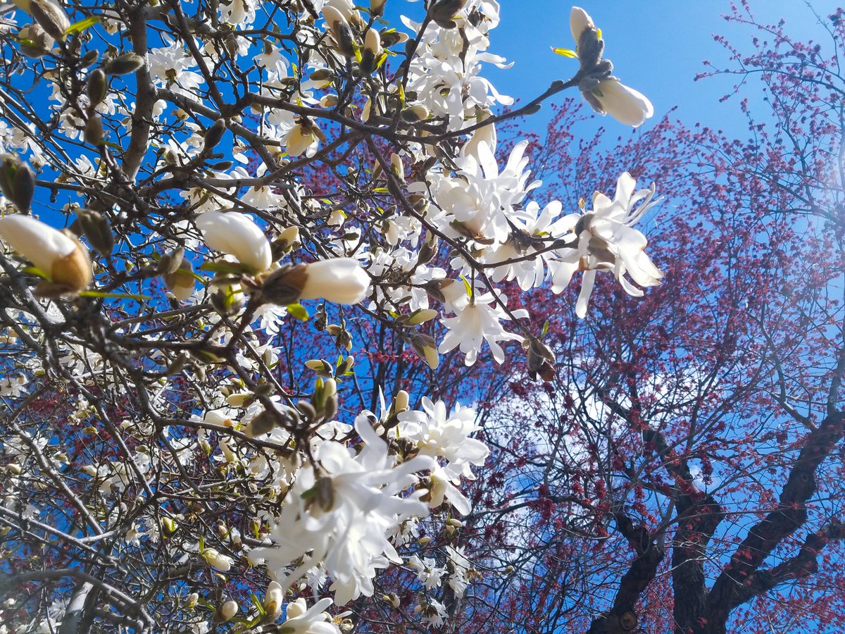 NYCAesthetic tweet picture