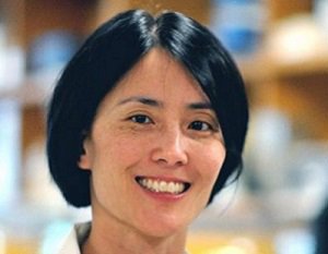 NFCR's tweet image. NFCR Fellow Alice Shaw of @MassGeneralNews and @harvardmed is a 3:35 Central Time session presenter at #AACR18. Click for a preview: goo.gl/9xgjBs #CancerResearch #CancerResearchEvent