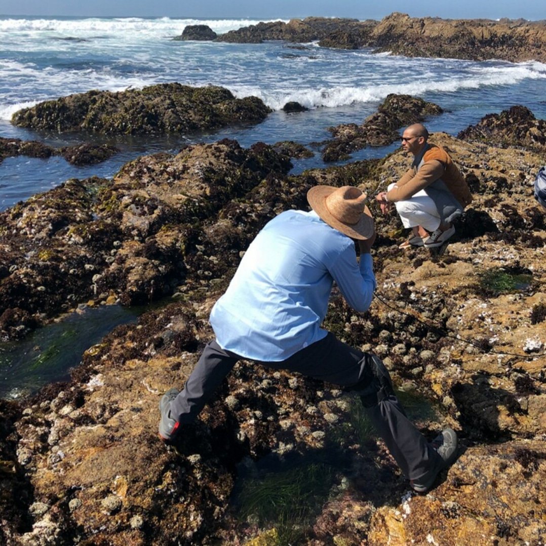 NateGill8's tweet photo. #BTS California Love https://t.co/vkEMNpjoKf