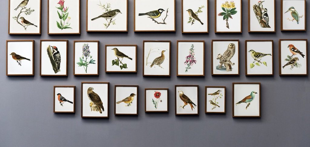 TheInnatYP tweet picture
