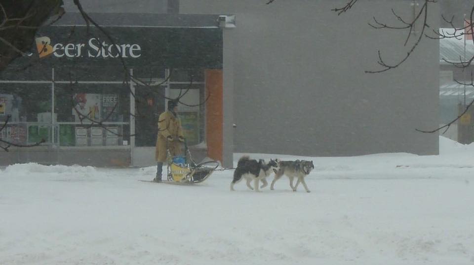 candicekonair's tweet photo. Meanwhile in #Ontario. #onstorm #icestorm https://t.co/uXpEeiNHhe