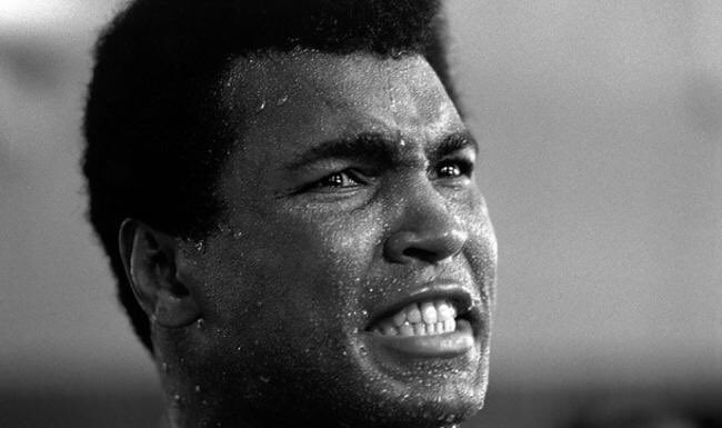 ScA369's tweet photo. “Ya me he batido contra un cocodrilo, ya he luchado contra una ballena. La semana pasada maté una roca, herí una piedra y envié al hospital a un ladrillo. Soy tan malvado que vuelvo enferma a la medicina.” #MuhammadAlí el más grande, quien dejó de ser esclavo hasta de su nombre. https://t.co/P4AEBNy9Z2