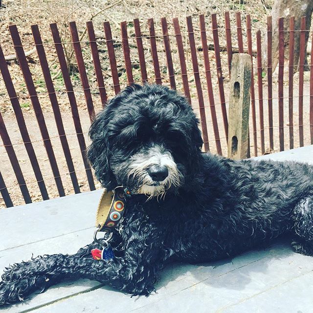 Just relaxing after my first swim in Pittsburgh. ift.tt/2vh5v6k