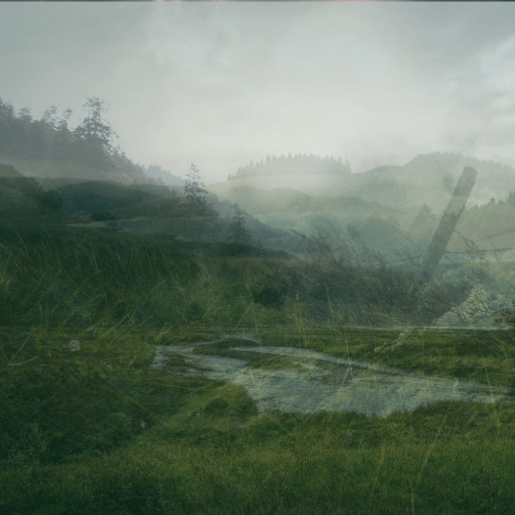 eafinto's tweet photo. The Land of the… Survivors? https://t.co/mme7M2ykaS https://t.co/NHQCrSE44n