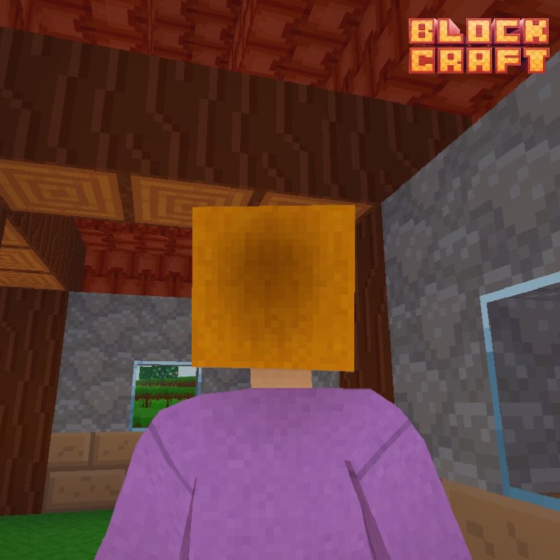 FlyTallyOne's tweet photo. #blockcraft https://t.co/HO0gFeyzoB https://t.co/ynpr3pKj5y