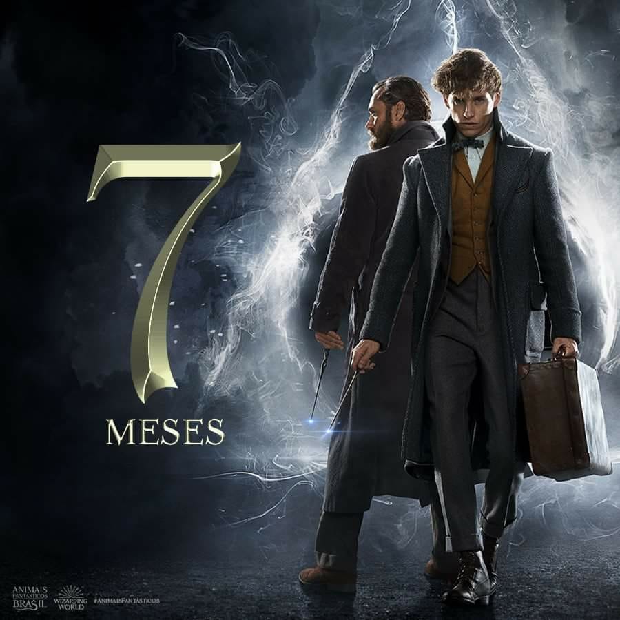 AFEOHBr's tweet photo. FALTAM 7 MESES PARA #ANIMAISFANTASTICOS OS CRIMES DE GRINDELWALD!!! https://t.co/gHc4FGxMni