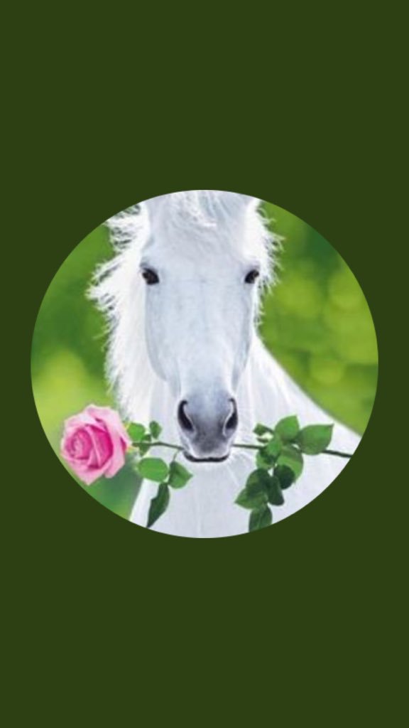 C5Duz's tweet photo. @Tgggggo1 
♥️✨
ٰㅤ
ثم ان الحياه اهدتني صديقه كالجنھ

ولأنها صديقتي تعاليت بها فخرًا #احبك

ٰ
♥️♥️♥️
ٰ

. https://t.co/7sabRyUeyy
