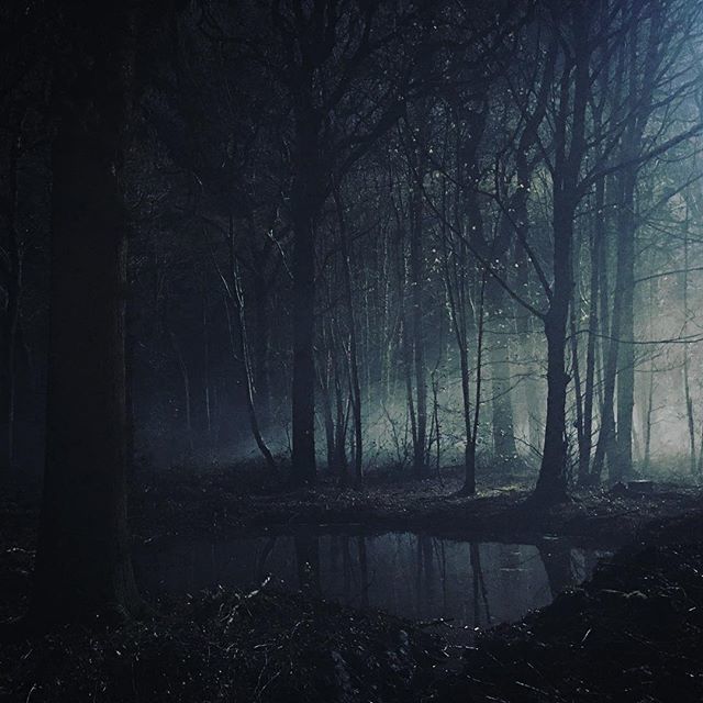 beehiveaerial's tweet photo. Hazy backlight in the woods! Working through the night last night and building up to a big car crash scene on another awesome shoot with @flyingcameracompany.
.
.
#freeflysystems #alta8 #alexamini #rtmotion #kowaspherical #filmmaking #droneporn #dronelif… https://t.co/IKuuzLGhy7 https://t.co/lydbrJ8GsH