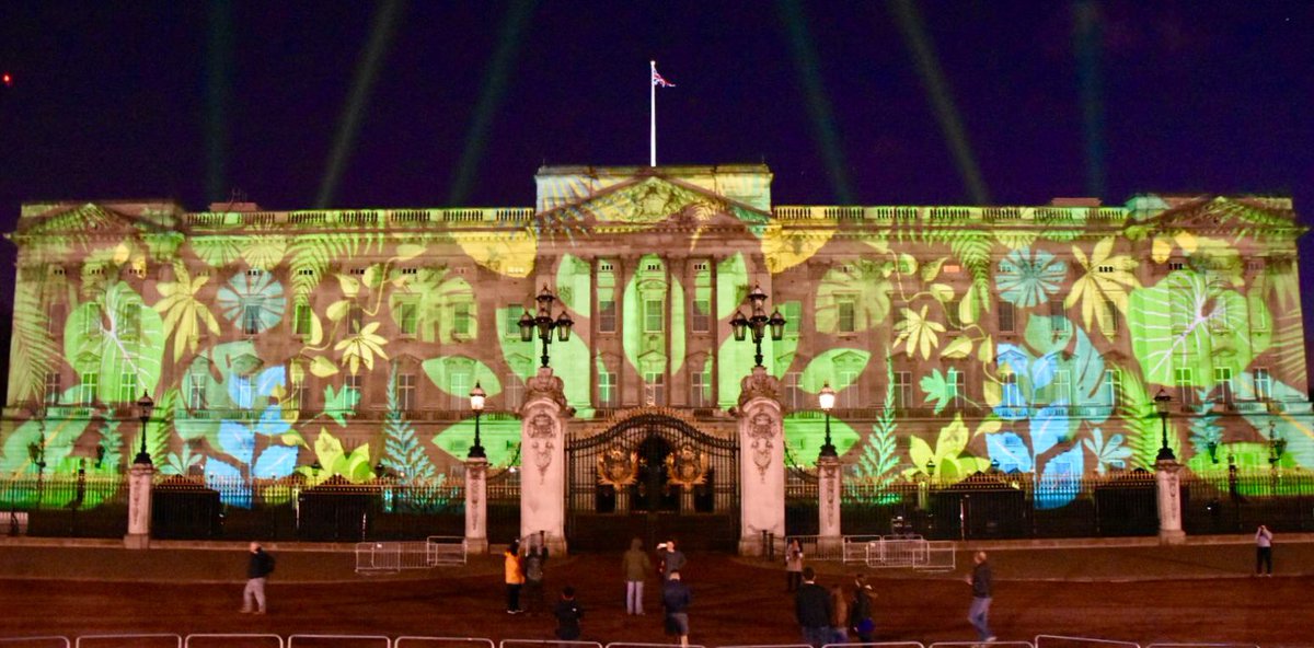 RoyalFamily's tweet photo. The @queenscanopy project aims to preserve precious areas of forest around the Commonwealth for future generations. #commonwealthcanopy https://t.co/12UTyo0cH0
