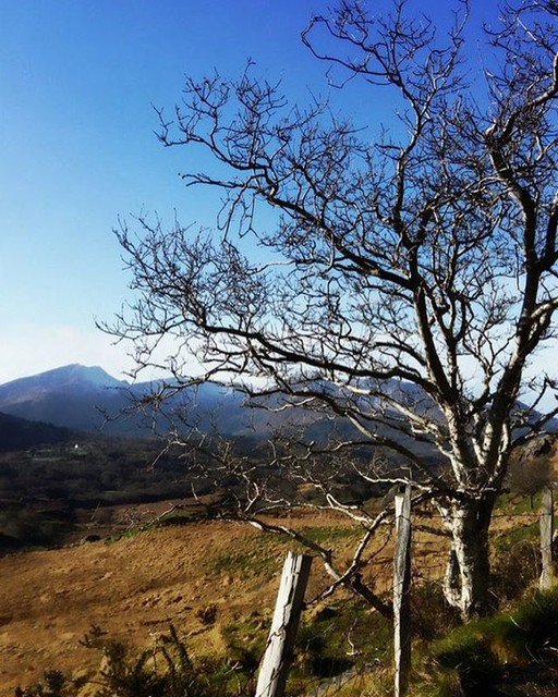 Reposting @egtours:
Take an #egtgolftour  To #ringofbeara #countykerry #ireland #irish #bucketlist #travel #travelblogger #travelphotography #touroperator #naturephotography #fridayfeeling #history #culture