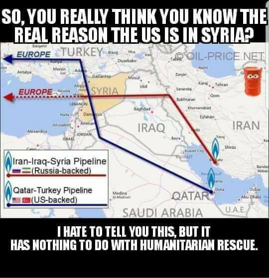AzulayRomond's tweet photo. Educate yourselves https://t.co/U22rvB2Nmk