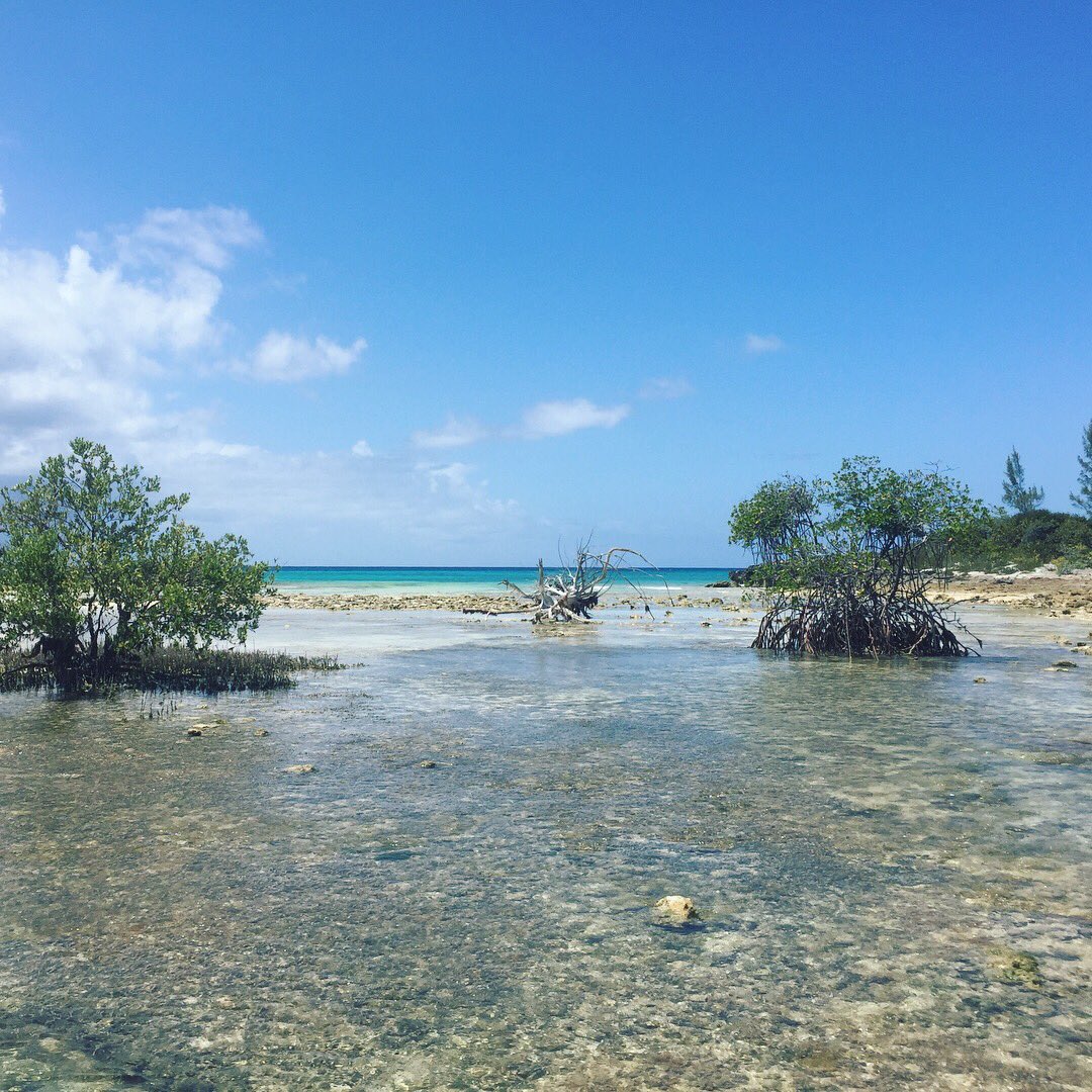 TheSeaNikRoute's tweet photo. Not thrilled to be leaving this beautiful office this week! 🥚🏝 #EggIsland 🇧🇸💙 https://t.co/23aIGPnUsw