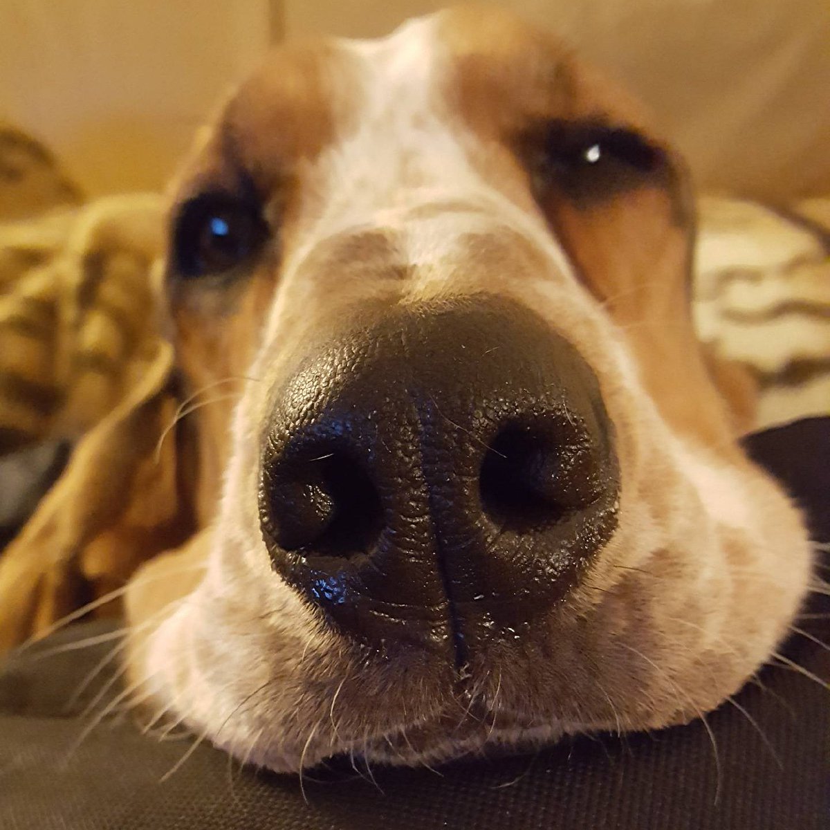 RubyMonster's tweet photo. Sunday night is upon us folks work beckons have a good week. https://t.co/0KDnZbUTvo