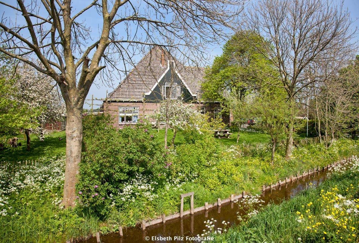 DeFryhof's tweet photo. Lekker genieten van het Pinksterweekend in alle rust? Wegens een annulering bieden wij nu 10% KORTING op de huurprijs. Aankomst vrijdag 18 mei en vertrek op dinsdag 22 mei! Mogen wij u binnenkort verwelkomen in onze heerlijke boerderij De Fryhof? https://t.co/eZVudoegnF