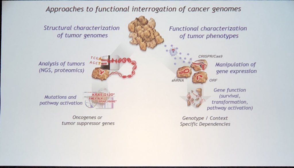 PathwayCommons's tweet photo. Lucid talk by William Hahn about complementary genomic and functional approaches; Using CRISPR and RNAi to develop their cancer dependency maps. #AACR18 https://t.co/S0mDkhFeou