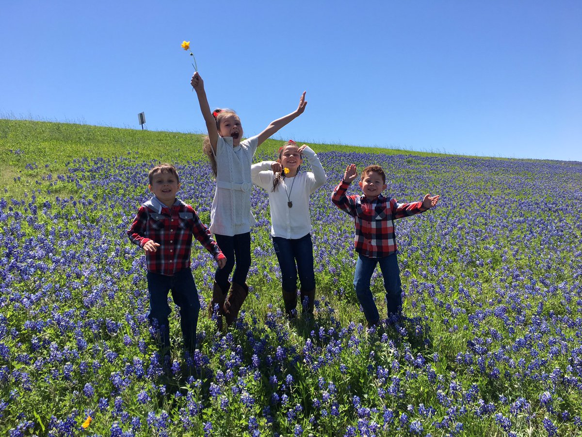AthenaMASM555's tweet photo. Day with the G-babies ❤️#OneBlessedMemo #MyLoves #TexasBlueBonnets @KhariHeru @AkinsMel @AmberD___ @triple555hd https://t.co/0lZ5MD7d1n