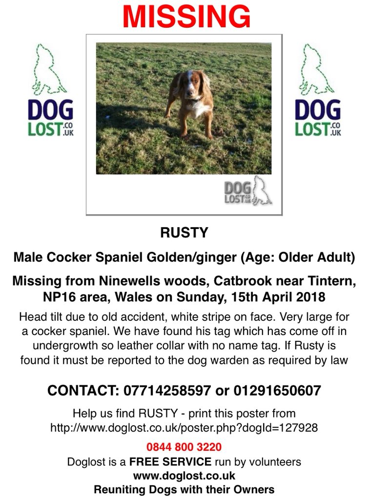 oldandfeelit's tweet photo. Pls Rt #Rusty #Missing #Catbrook #Tintern #NP16 #Wales Recently sighted that area! https://t.co/XrOdvi5ka8 https://t.co/8VI7pvi4N2