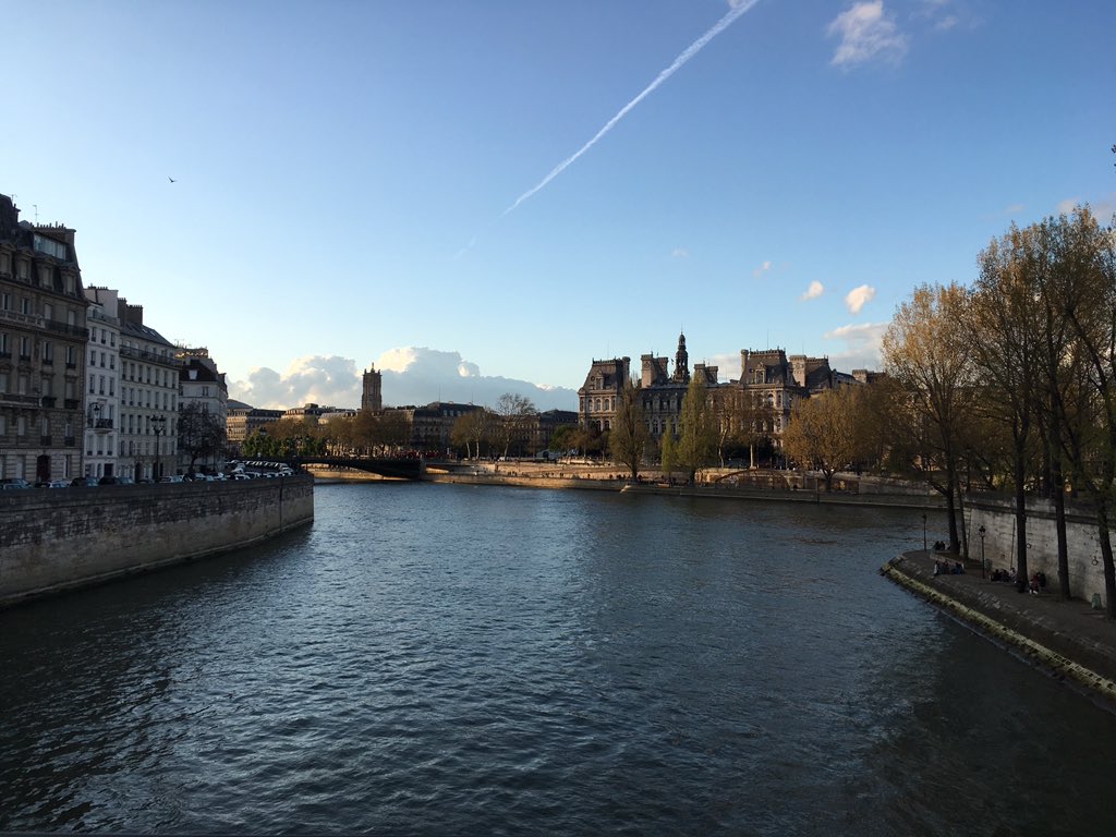 Carolina Caetano tweet media