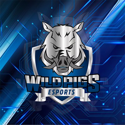 WildPigseSports's tweet photo. #NuevaFotoDePerfil https://t.co/58StpMfFVO