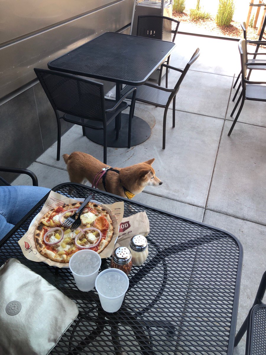 I'm at MOD pizza in Cupertino, Calif w/ <a href="/imuggle/">Ally Kazmucha</a> swarmapp.com/c/3wodRJtfLQq