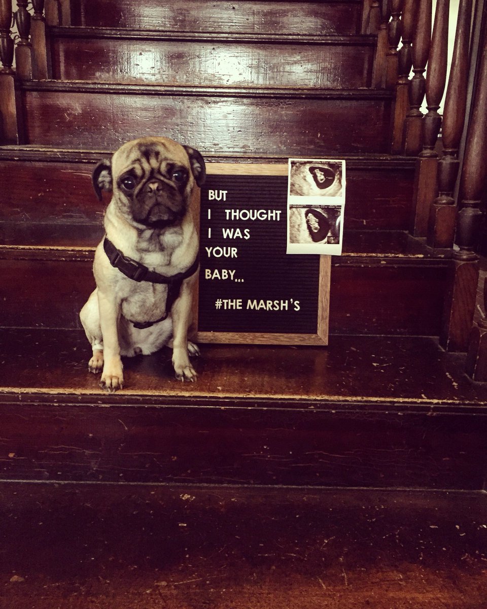 Eleanor has a sibling coming in November!