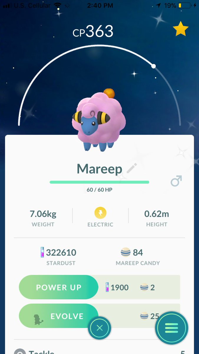 AverageLowLife's tweet photo. 3 shiny mareep on community day...can’t ask for much more https://t.co/dKgLmFRoED