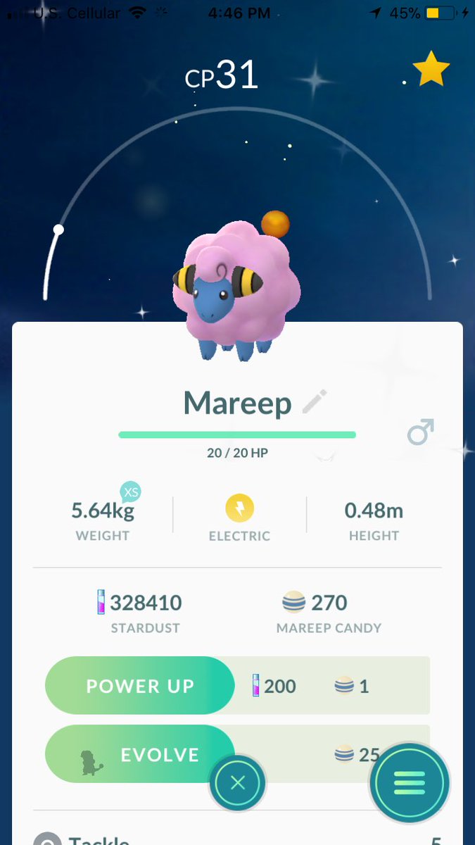 3 shiny mareep on community day...can’t ask for much more