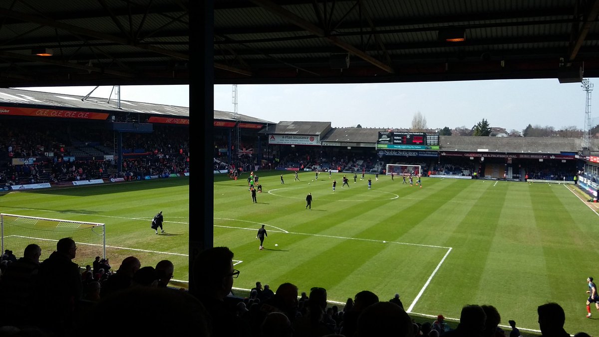 shellsampeon131's tweet image. 