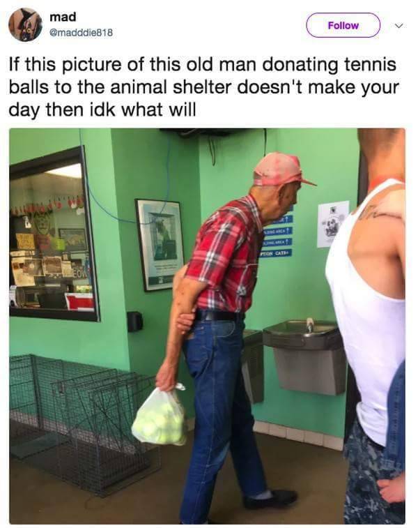 WholesomeMeme's tweet photo. Credit @madddie818 https://t.co/hlEJjx14Ae