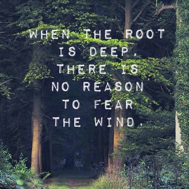 MedicalMediaAds's tweet photo. There are no Roots stronger than
that of a Mind &amp; Body that has
decided to become One.
#WeekendWisdom 
#Inspiration https://t.co/VRScJM9y5A