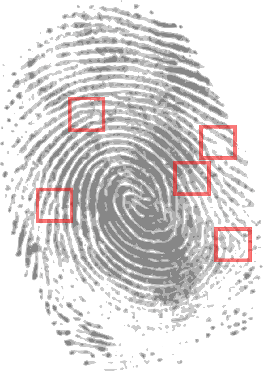 eafinto's tweet photo. NEW EVIDENCE: A Path of Keys https://t.co/d9LPncfOJF https://t.co/9zWXzXae8k