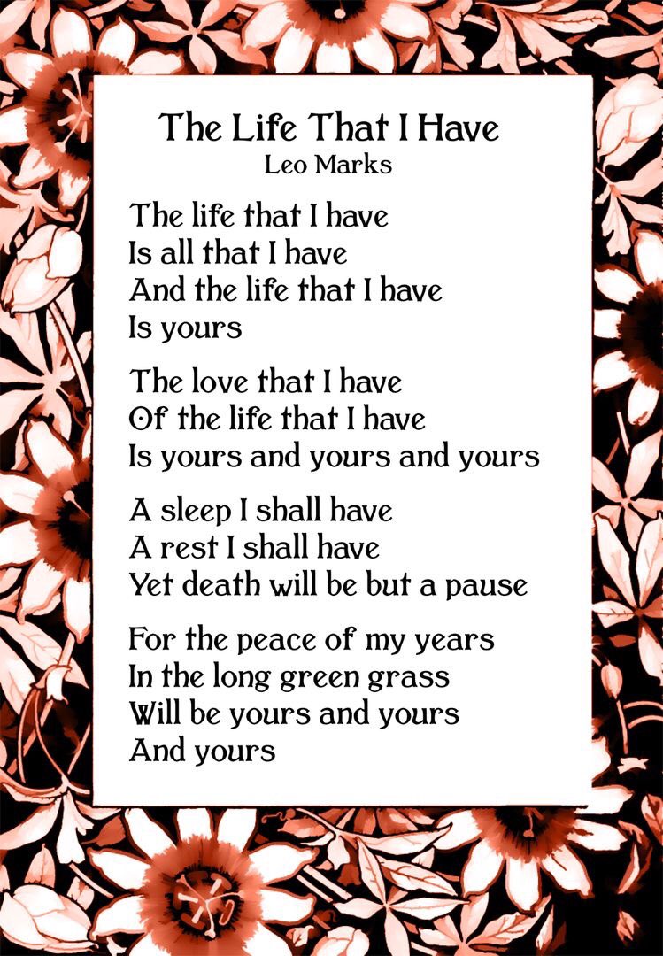 SaffinaEllahi1's tweet image. #MellowMoments
#TimeToWindDown
#SomethingDifferent
#LightsOut
#Poetry