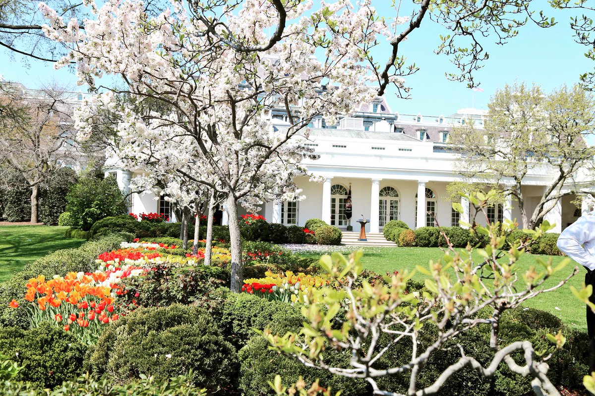 ms_peili's tweet photo. #springgardentour #rosegarden @WhiteHouse https://t.co/dvrhhhFz1C