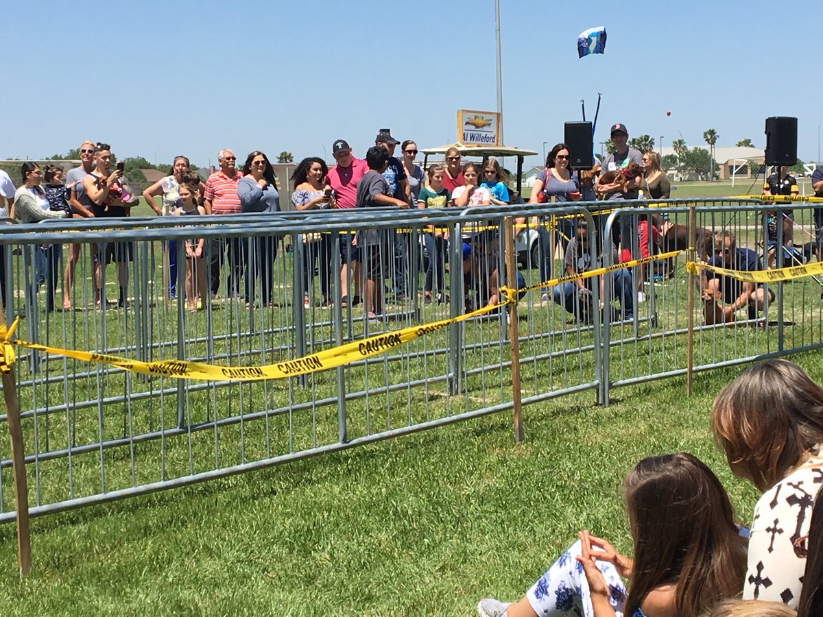 ricast_21's tweet photo. Dachshund races #Windfest’18 https://t.co/RHbJQ5dbKW