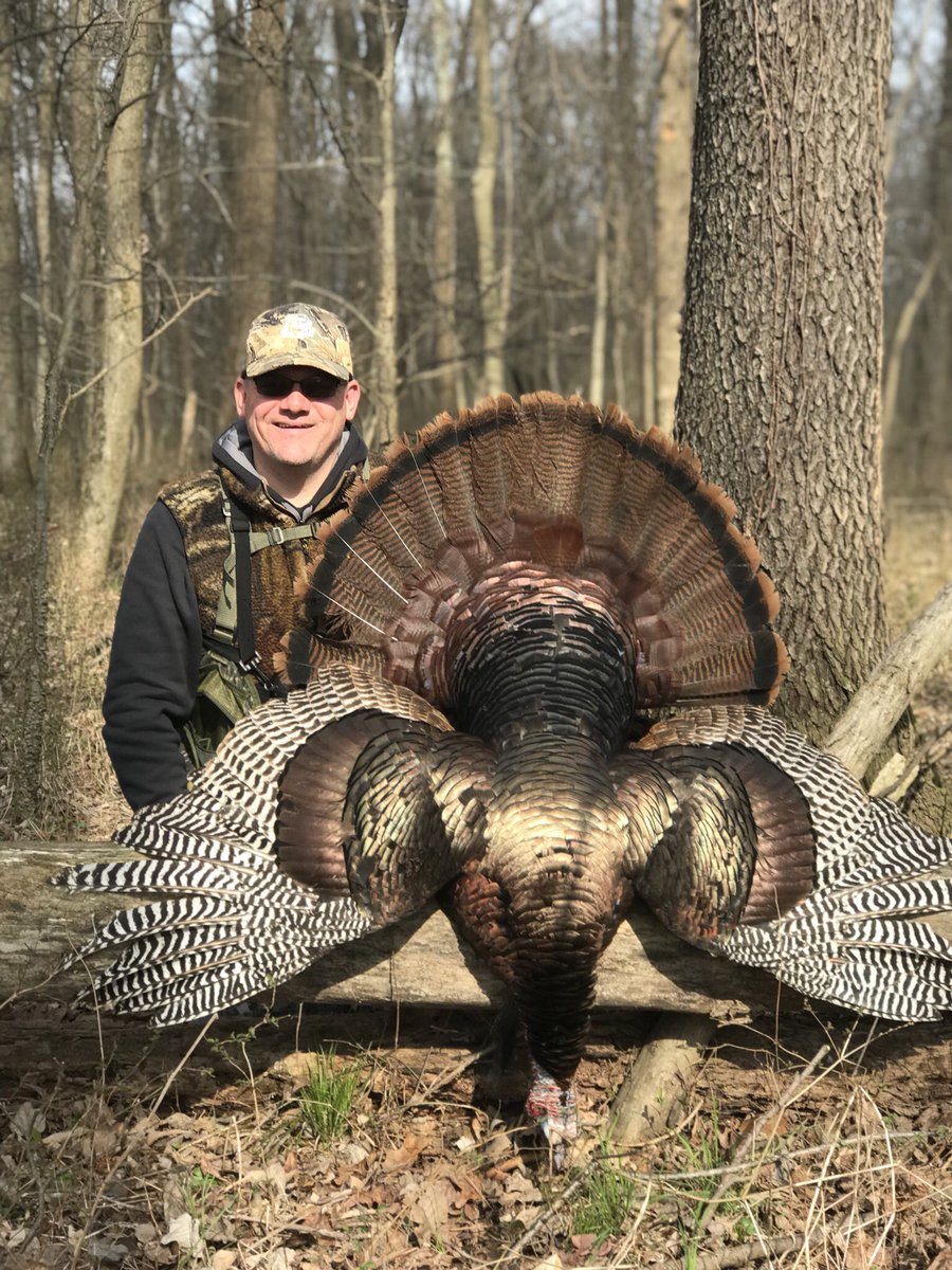 CountryLodge08's tweet photo. First season bird at @CountryLodge08 https://t.co/nDgMF6Cg9F