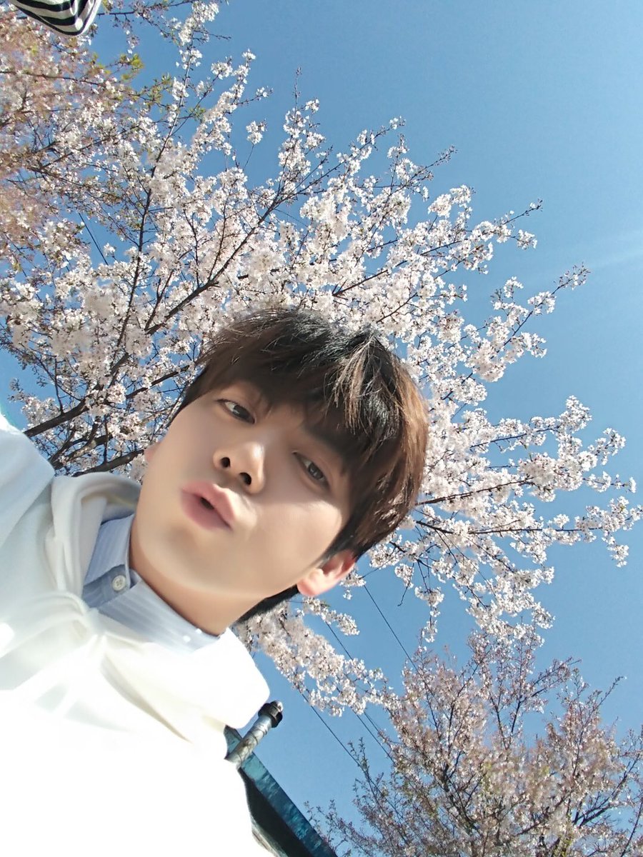 BAIKAL_official's tweet photo. 봄🌸봄🌼봄🌺 봄이 왔어요~ #스완 여러븐의 #바이칼 꽃도 피었습니다! ♪(๑ᴖ◡ᴖ๑)♪
#스완여러분의_배경화면을_책임집니다 
#누가_꽃이게? #케이빈 https://t.co/YyfKrljMbJ