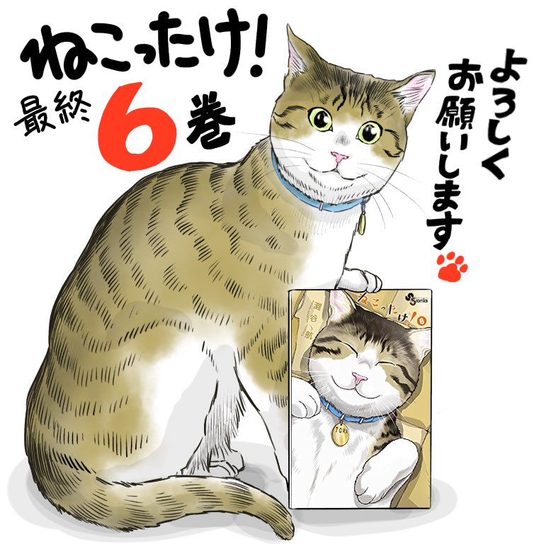 灘谷航 猫暮らしのゲーマーさん 最終8巻 4 18頃発売 V Twitter ねこったけ 最終6巻が明後日18日に発売です 最後までお付き合いいただけると嬉しいです どうぞ宜しくお願いします T Co A6j3ogzghn Twitter