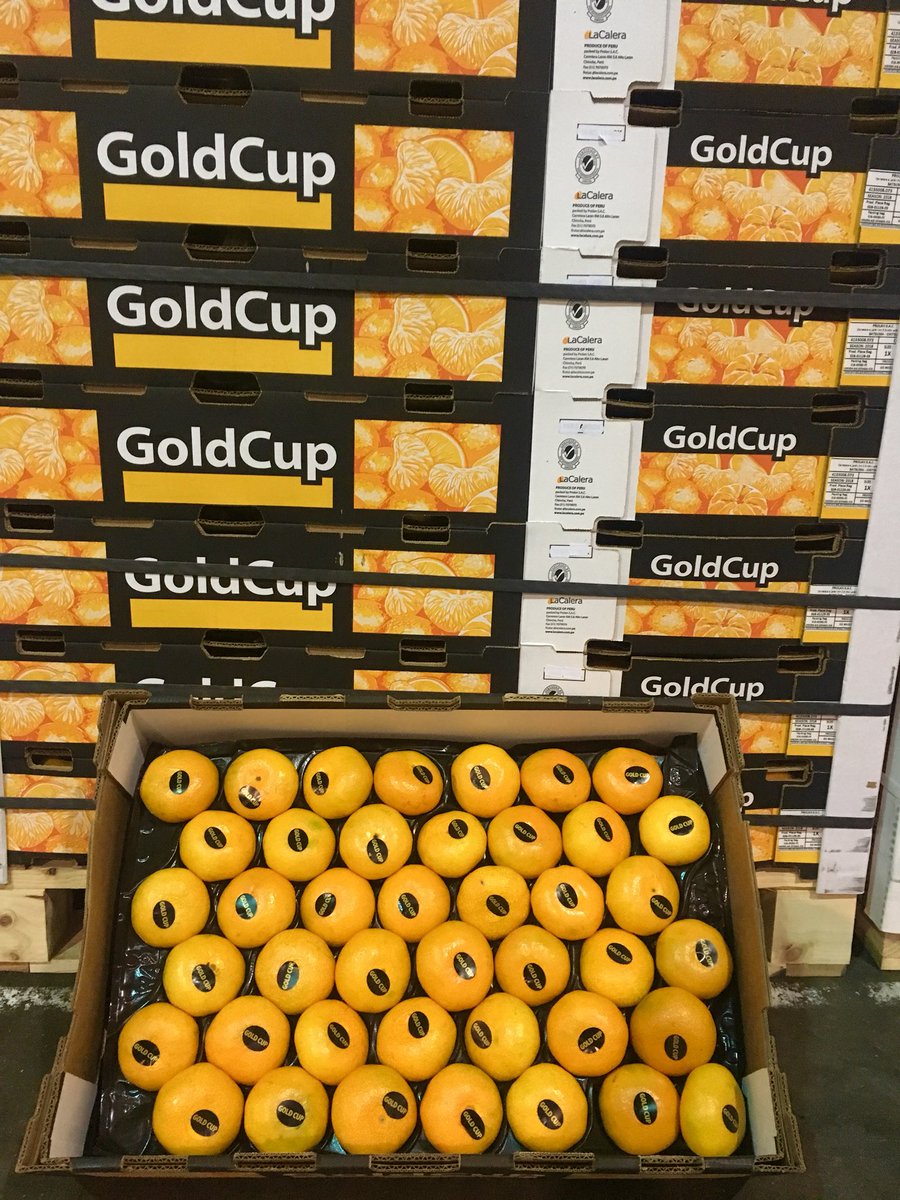 GT_Produce's tweet photo. First of the Gold Cup Peruvian Satsuma 84’s #GoldCup #FirmAndJuicy just the way we like it. @SharrocksFresh1 @FruitWhispers https://t.co/jxqM1gxs6m