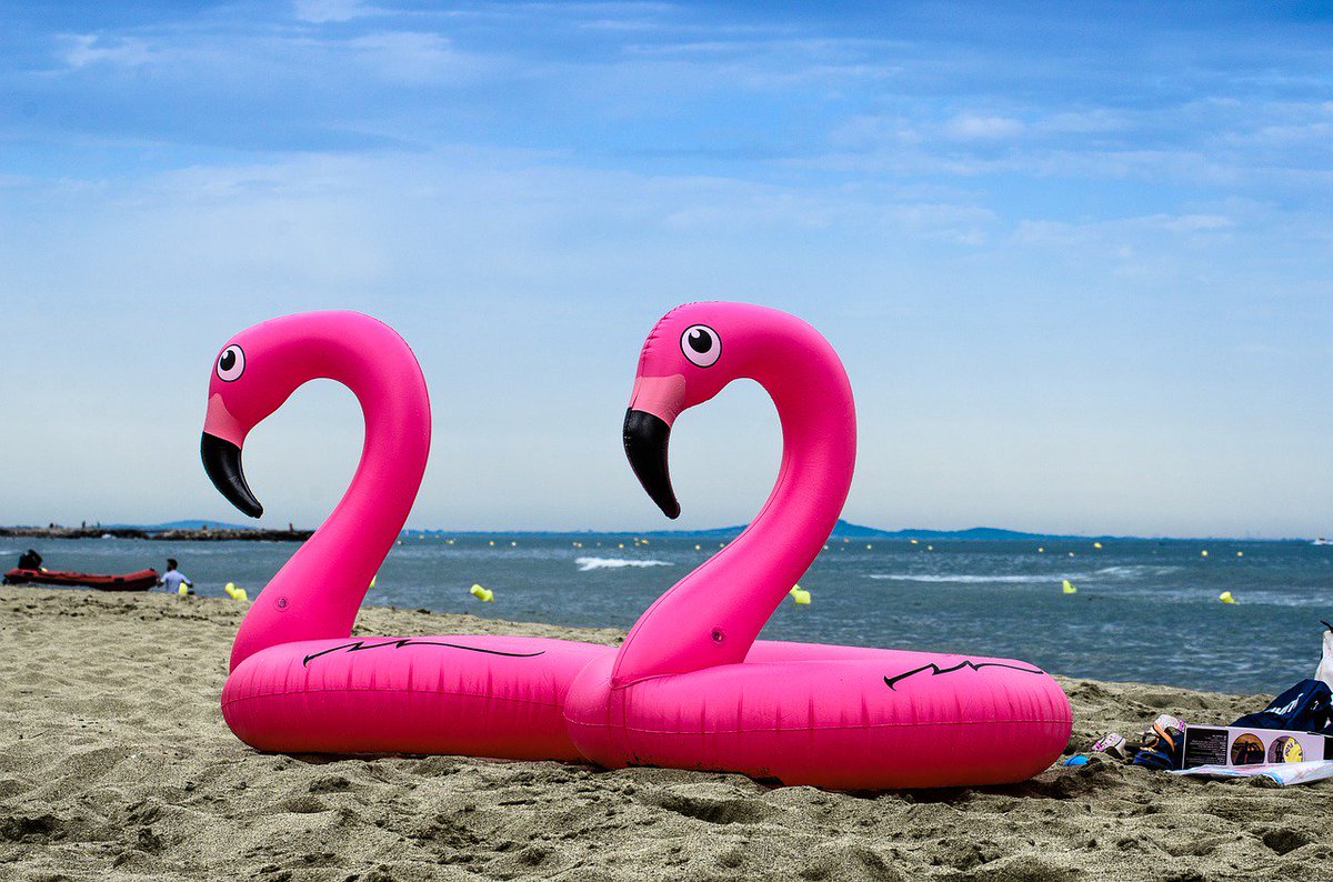 fabonbeach's tweet photo. If there is heaven for me, I am sure it has a beach attached to it. #flamingo #Beach https://t.co/WD4dz8uMlJ