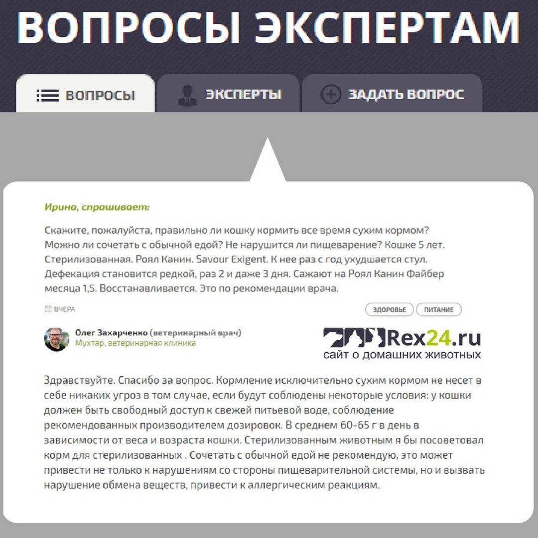 rex24rex24's tweet photo. Задать вопрос нашему эксперту-ветеринару вы можете у нас на сайте: https://t.co/V2wMV4njbB
#rex24 #ветеринар #питомцы #собаки #кошки #здоровье #питание #уход https://t.co/dk6V3974Rj
