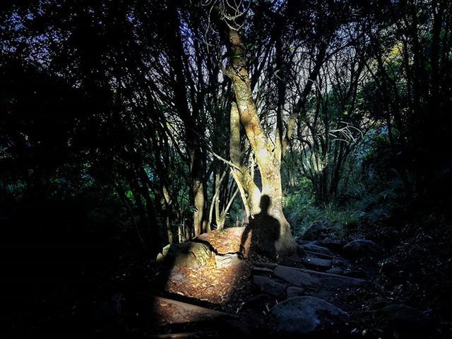 runwolfrun_za's tweet photo. 🐾🐺🐾
Chasing shadows 🌚
. 
#running
#trailrunning
#mountainrunning
#outdoors
#adventure
#nature
#explore
#runnerscommunity
#runnerseye
#seenonmyrun
#runtoinspire
#runchat
#timetoplay
#runwild
#instagood
#photooftheday
#southafrica
#igerssouthafrica
. 
… https://t.co/aik63IMGr0 https://t.co/nL4vPQbta1