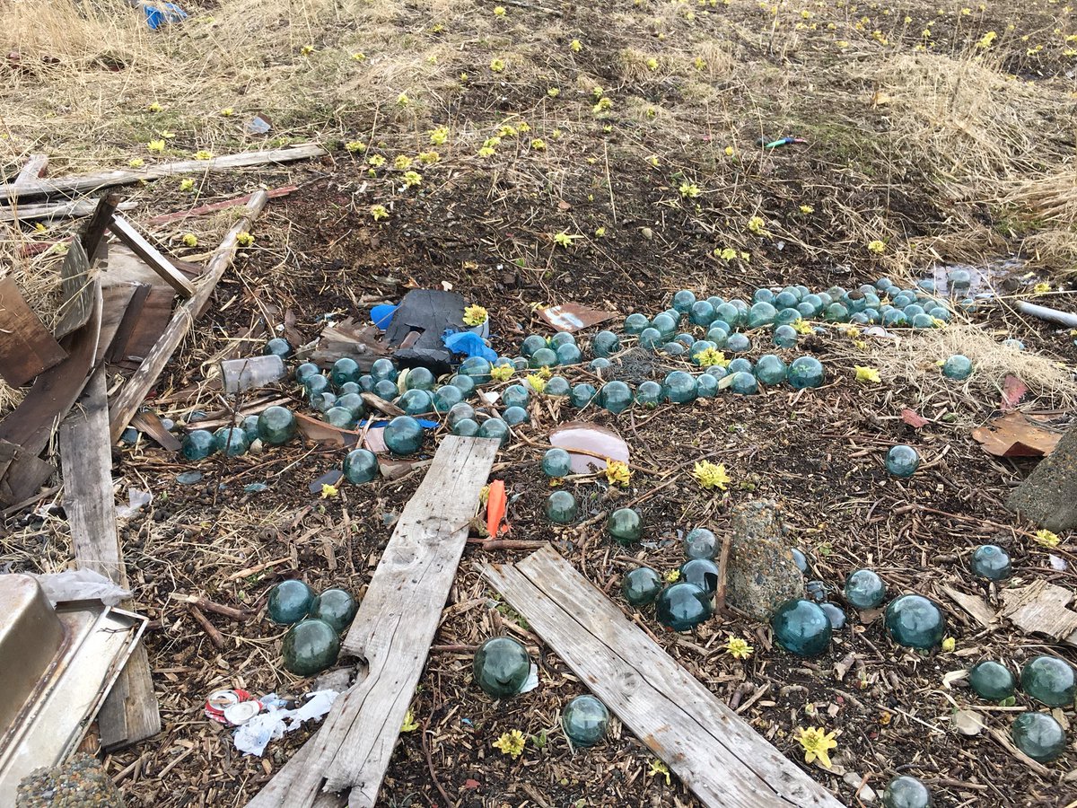 稚内ノシャップの海岸でビーチコーミング。浮き玉は普通に拾えるんです